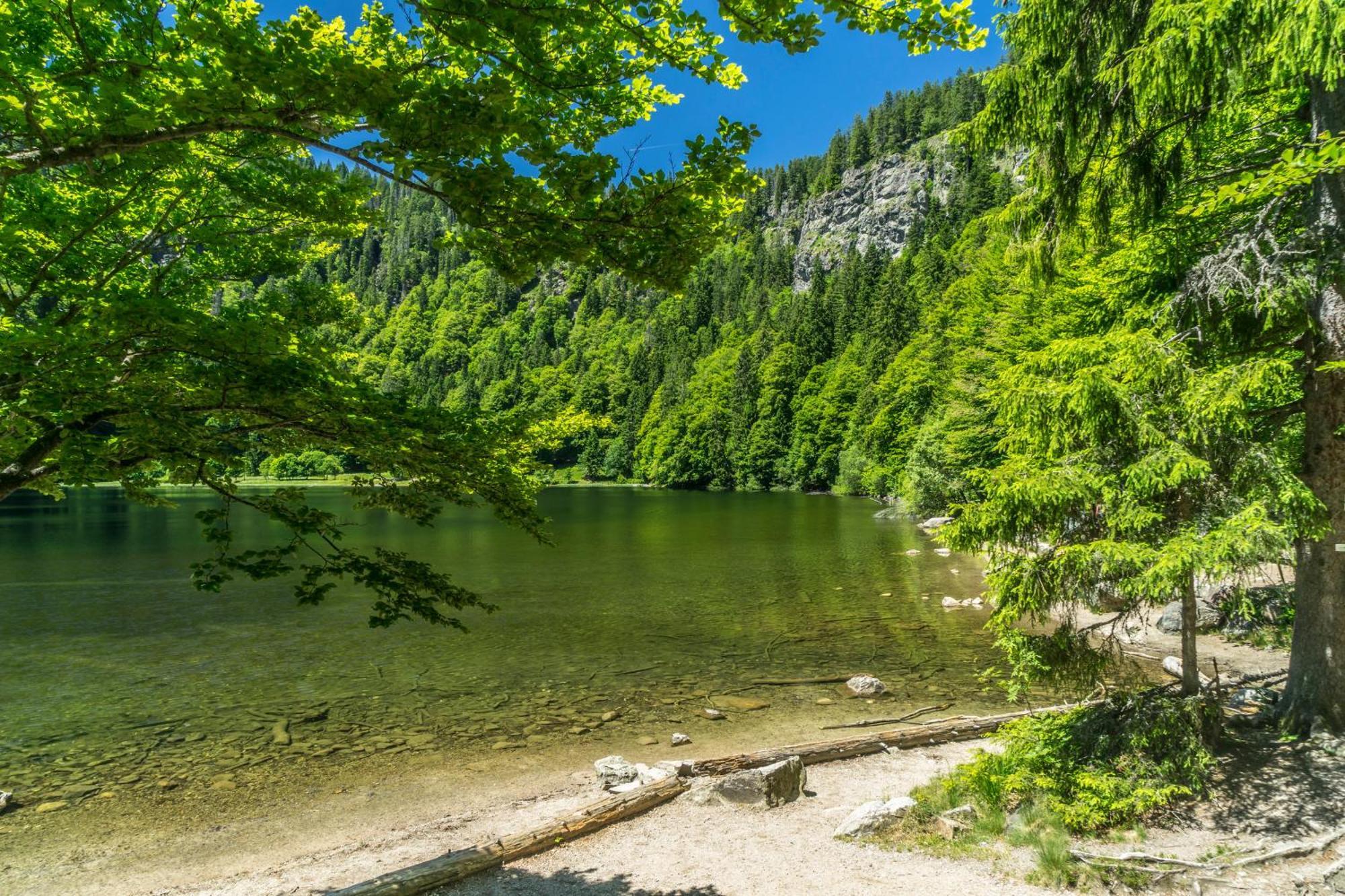 Drei Tannen - Wohnung 07 - Apartmenthaus, Titisee, Feldberg 外观 照片