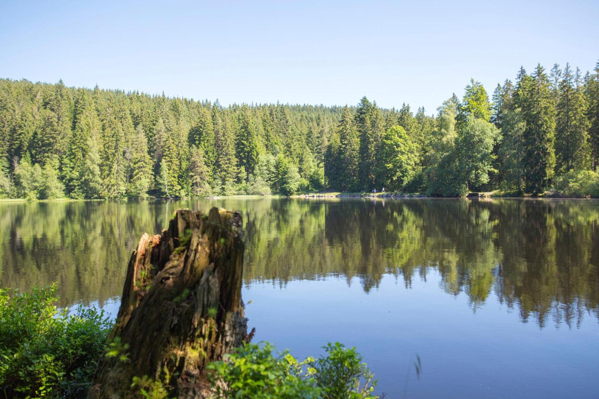 Drei Tannen - Wohnung 07 - Apartmenthaus, Titisee, Feldberg 外观 照片