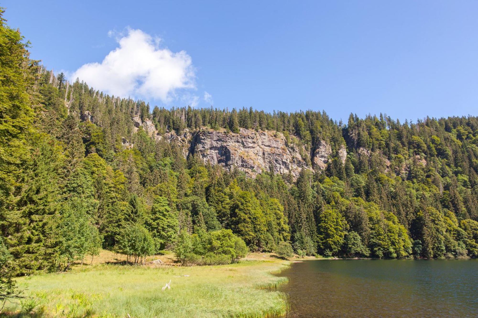 Drei Tannen - Wohnung 07 - Apartmenthaus, Titisee, Feldberg 外观 照片
