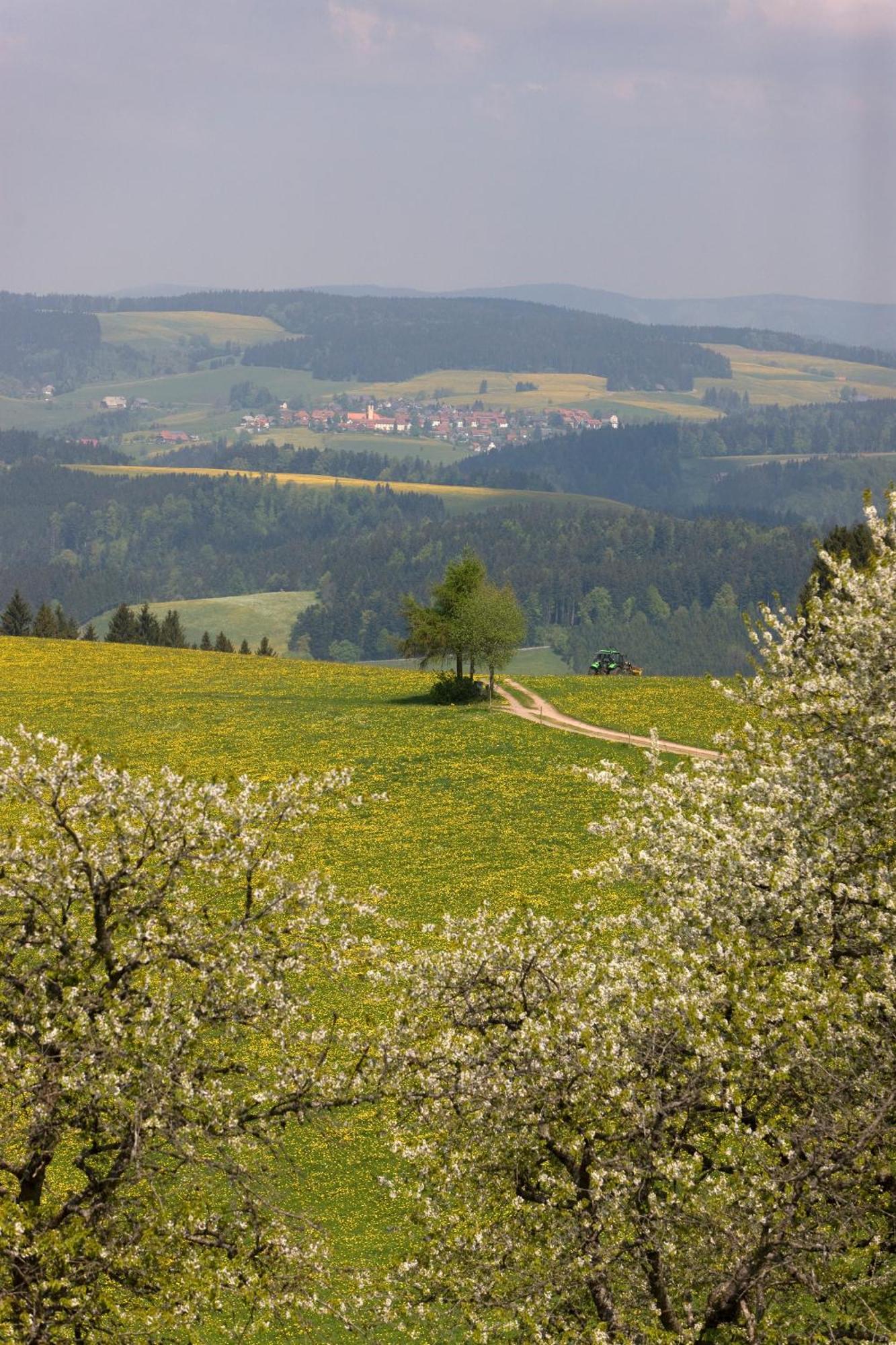 Drei Tannen - Wohnung 07 - Apartmenthaus, Titisee, Feldberg 外观 照片